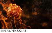 A flower stands in the midst of a raging fire, its petals surrounded by flames as it bravely endures the intense heat. Стоковое AI-изображение, AI-художник Данила Большаков / Фотобанк Лори