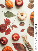 Creative Flat lay of  various colorful little pumpkin, apples and fall leaves on white table background, top view. Autumn composing or pattern background , flat lay. Стоковое фото, агентство Ingram Publishing / Фотобанк Лори
