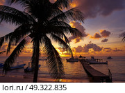Puerto Morelos sunset beach in Riviera Maya of Mayan Mexico. Стоковое фото, агентство Ingram Publishing / Фотобанк Лори