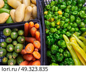 Mexican market vegetables chili habanero carrot potatoes cucumbers peppers. Стоковое фото, агентство Ingram Publishing / Фотобанк Лори