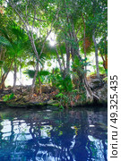 Cenote sinkhole in Riviera Maya at Mayan Mexico. Стоковое фото, агентство Ingram Publishing / Фотобанк Лори