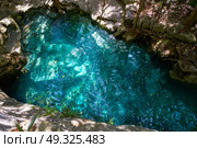 Cenote in Riviera Maya of Mayan Mexico sinkhole exposing groundwater. Стоковое фото, агентство Ingram Publishing / Фотобанк Лори