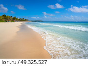 Akumal bay Caribbean beach in Riviera Maya of Mayan Mexico. Стоковое фото, агентство Ingram Publishing / Фотобанк Лори