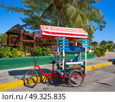 Caribbean tricycle shop bicycle of Mexico. Стоковое фото, агентство Ingram Publishing / Фотобанк Лори