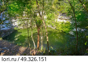 Cenote Sagrado sacred sinkhole in Chichen Itza at Yucatan Mexico. Стоковое фото, агентство Ingram Publishing / Фотобанк Лори