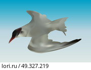 Seabird seagull. Isolated on White background. Vector Illustration. EPS10. Seabird seagull. Isolated on White background. Vector Illustrati. Стоковая иллюстрация, агентство Ingram Publishing / Фотобанк Лори