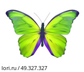 Green Butterfly Isolated on White Realistic Vector Illustration. Green Butterfly Isolated on White Realistic. Стоковая иллюстрация, агентство Ingram Publishing / Фотобанк Лори