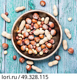 hazelnuts and peanuts. nut peanuts,hazelnuts in the shell and chipped in a bowl. Стоковое фото, агентство Ingram Publishing / Фотобанк Лори