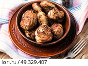 fried homemade cutlets. Meat cutlets in clay ware on a plate.Ukrainian food. Стоковое фото, агентство Ingram Publishing / Фотобанк Лори