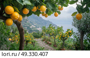Lemon garden with friuts. Стоковое AI-изображение, AI-художник Anastasy Yarmolovich / Фотобанк Лори