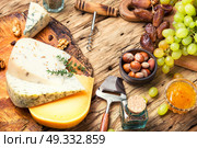 cheese with nuts. Cheese with coriander and nettle and grapes on retro wooden background. Стоковое фото, агентство Ingram Publishing / Фотобанк Лори
