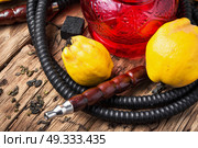 hookah shisha with quince. smoking hookah in Arabic style with the tobacco aroma quince. Стоковое фото, агентство Ingram Publishing / Фотобанк Лори