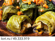 cabbage rolls with vegetable. Vegetable cabbage rolls in leaf of savoy cabbage.Ukrainian food. Стоковое фото, агентство Ingram Publishing / Фотобанк Лори