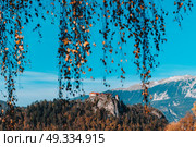 Lake Bled in the Alpine mountains in autumn under blue sky. Стоковое фото, агентство Ingram Publishing / Фотобанк Лори