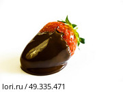 strawberries with a tail drenched in liquid chocolate on white background. Стоковое фото, агентство Ingram Publishing / Фотобанк Лори