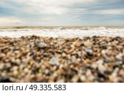 the coastline of seashells on a background of sea and blue sky. Стоковое фото, агентство Ingram Publishing / Фотобанк Лори