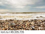 the coastline of seashells on a background of sea and blue sky. Стоковое фото, агентство Ingram Publishing / Фотобанк Лори