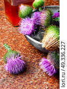 milk thistle flower. Silybum marianum.Wild medicinal plant thistle on retro background. Стоковое фото, агентство Ingram Publishing / Фотобанк Лори