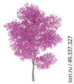 red lapacho tree isolated on white background. 3d illustration. Стоковое фото, агентство Ingram Publishing / Фотобанк Лори