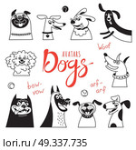 Avatar dogs. Funny lap-dog, happy pug, cheerful mongrels and other breeds.. Avatar dogs. Funny lap-dog, happy pug, cheerful mongrels and other breeds. Vector illustration. Стоковая иллюстрация, агентство Ingram Publishing / Фотобанк Лори