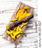 turmeric,mortar and pestle. Turmeric powder and roott turmeric in wooden mortar. Стоковое фото, агентство Ingram Publishing / Фотобанк Лори