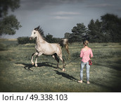 Free horse runs around a women. Horsemanship scene .  Horse free dressage or groundwork. Стоковое фото, агентство Ingram Publishing / Фотобанк Лори