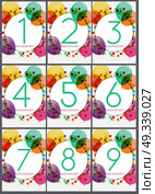 Template Anniversary Congratulations, Greeting Card, Invitation Collection Set Vector Illustration EPS10. Template Anniversary Congratulations, Greeting Card, Invitation . Стоковая иллюстрация, агентство Ingram Publishing / Фотобанк Лори