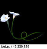 Abstract Floral Background with Calla Flower. Vector Illustration EPS10. Abstract Floral Background with Calla Flower. Vector Illustratio. Стоковая иллюстрация, агентство Ingram Publishing / Фотобанк Лори