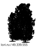 Black and White Silhouette of Deciduous Tree, whose branches develop in the wind. Vector Illustration. EPS10. Black and White Silhouette of Deciduous Tree, whose branches dev. Стоковая иллюстрация, агентство Ingram Publishing / Фотобанк Лори
