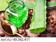spa of aloe vera. Aloe Vera leaves and jar with extract for spa.Healthy aloe vera. Стоковое фото, агентство Ingram Publishing / Фотобанк Лори