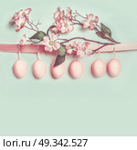 Easter greeting card layout with hanging pastel pink eggs and beautiful spring blossom decoration, copy space for your design, text, greeting or invitation. Стоковое фото, агентство Ingram Publishing / Фотобанк Лори
