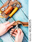 Tools for leather craft. Tailor working with leather goods in retro style. Стоковое фото, агентство Ingram Publishing / Фотобанк Лори