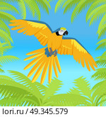 Ara Parrot Flat Design Vector Illustration. Ara parrot vector. Birds of Amazonian forests in flat design illustration. Fauna of South America. Flying colorful Ara parrot in jungle for posters, childrens books illustrating. Isolated on white. Стоковая иллюстрация, агентство Ingram Publishing / Фотобанк Лори