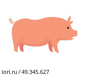 Pig illustration. Vector in flat style design. Domestic animal. Country inhabitants concept. Picture for farming, animal husbandry, meat production companies. Isolated on white background.. Pig Flat Design Vector Illustration on White. Стоковая иллюстрация, агентство Ingram Publishing / Фотобанк Лори