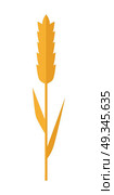 Wheat spike vector in flat style design. Cereals concept illustration for  banners, icons, app pictogram, infographic, and logotype elements. Isolated on white background.     . Wheat spike Vector Illustration in Flat Style Design.  . Стоковая иллюстрация, агентство Ingram Publishing / Фотобанк Лори