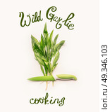 Creative layout with fresh green wild garlic leaves , knife and lettering text on white background.  Healthy seasonal food, recipes and eating concept. Стоковое фото, агентство Ingram Publishing / Фотобанк Лори