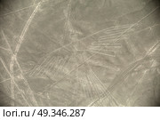 Unesco Heritage: Lines and Geoglyphs of Nazca, Peru - Condor. Стоковое фото, агентство Ingram Publishing / Фотобанк Лори