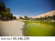  Oasis surrounded by sand dunes near Ica Peru. Стоковое фото, агентство Ingram Publishing / Фотобанк Лори