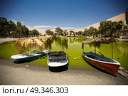 Oasis surrounded by sand dunes near Ica Peru. Стоковое фото, агентство Ingram Publishing / Фотобанк Лори