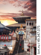 Freely walk monkey. Votive temples and shrines in a row at Pashupatinath Temple, Kathmandu, Nepal. Стоковое фото, агентство Ingram Publishing / Фотобанк Лори