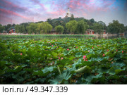 Beihai Park is the imperial garden to the north-west of the Forbidden City in Beijing. China. Beihai Park. Стоковое фото, агентство Ingram Publishing / Фотобанк Лори