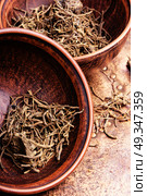 Valerian herb root. Traditional folk remedy from valerian roots in a mortar. Стоковое фото, агентство Ingram Publishing / Фотобанк Лори