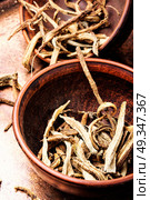 Medicinal root inula. Medicinal raw materials from roots and rhizomes inula.Root elecampane. Стоковое фото, агентство Ingram Publishing / Фотобанк Лори