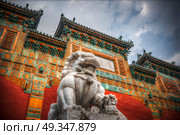 Beihai Park is the imperial garden to the north-west of the Forbidden City in Beijing. China. Beihai Park. Стоковое фото, агентство Ingram Publishing / Фотобанк Лори