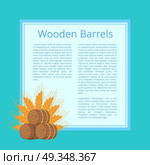 Wooden Barrels and Ripe Wheat Ears Illustration. Wooden barrels and ripe wheat ears behind isolated vector illustration. Casks with beer superimposed on square with text and blue background. Стоковая иллюстрация, агентство Ingram Publishing / Фотобанк Лори