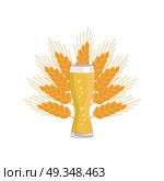 Weizen Glass of Beer Isolated on White Background. Weizen glass of beer on background of ears of wheat vector illustration. Glassware of light alcohol drink with bubbles, symbol of Oktoberfest festival. Стоковая иллюстрация, агентство Ingram Publishing / Фотобанк Лори