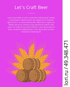Lets Craft Beer Poster Wooden Barrels with Beers. Lets craft beer poster wooden barrels with beers vector illustration. Three casks or tuns hollow cylindrical container, made of wooden staves bound by hoops. Стоковая иллюстрация, агентство Ingram Publishing / Фотобанк Лори