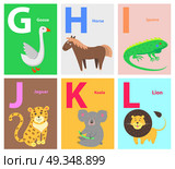 Alphabet with Cute Cartoon Animal Flat Vector Set. Zoo ABC english alphabet concept with latin letters and funny cartoon wild, domestic animals flat vectors on colorful backgrounds with caption for children book, textbook illustrations. Alphabet with Cute Cartoon Animal Flat Vector Set. Стоковая иллюстрация, агентство Ingram Publishing / Фотобанк Лори