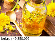 Extraction of flowers dandelions. Bottle of essential oil with flowers dandelions.Healing herbs.Dandelions tinctures. Стоковое фото, агентство Ingram Publishing / Фотобанк Лори