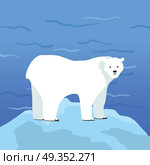 Polar Bear Ursus Maritimus on Piece of Ice. Polar bear Ursus maritimus on piece of ice with Arctic Ocean on background. Arctic wild animal. Carnivorous bear at Arctic Circle. Wildlife of North Pole. White bear. Vector illustration in flat style. Стоковая иллюстрация, агентство Ingram Publishing / Фотобанк Лори